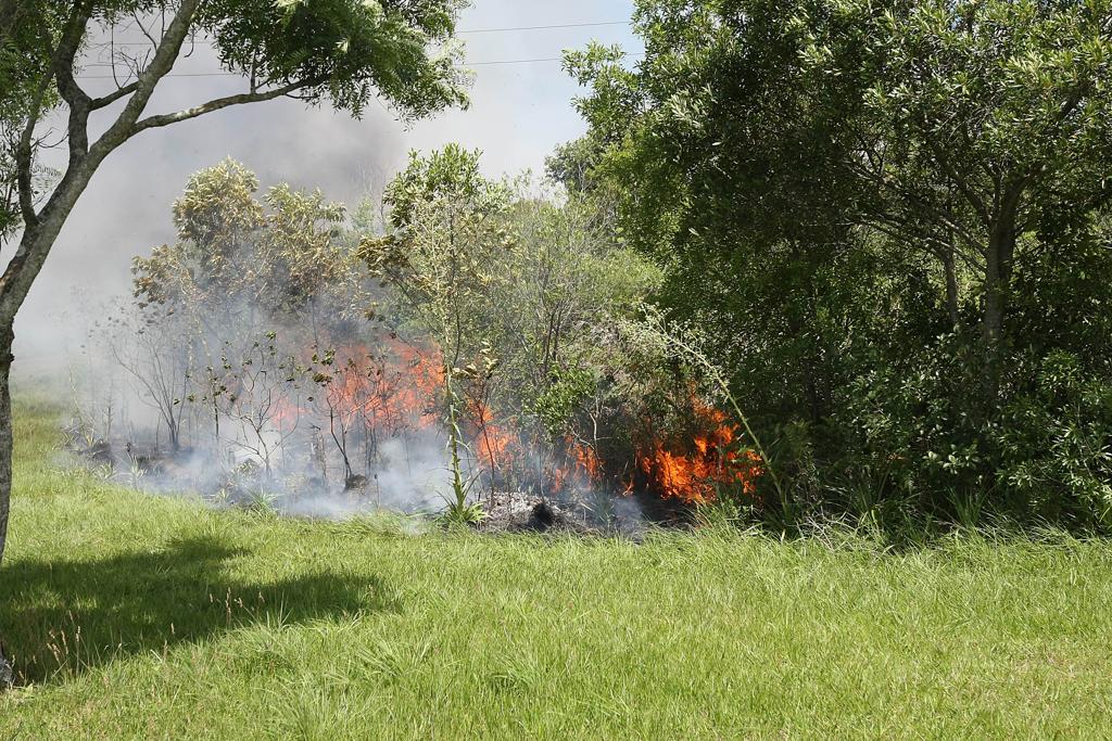 Incêndio atinge área ambiental do Paraná | Ivonaldo Alexandre/Gazeta do Povo