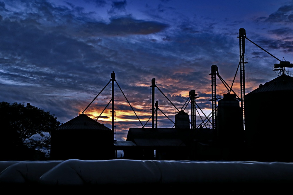 Cenário de queda nas cotações do agronegócio e alta no dólar deixa setor em situação de risco. | Foto: Albari Rosa/gazeta Do Povo