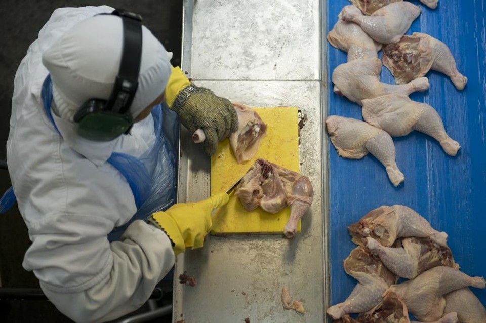 Industrializados de baixa tecnologia, como carne de frango, lideraram a alta nas vendas ao exterior. | Henry Milleo/Gazeta do Povo