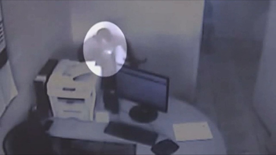  | /Reprodução
