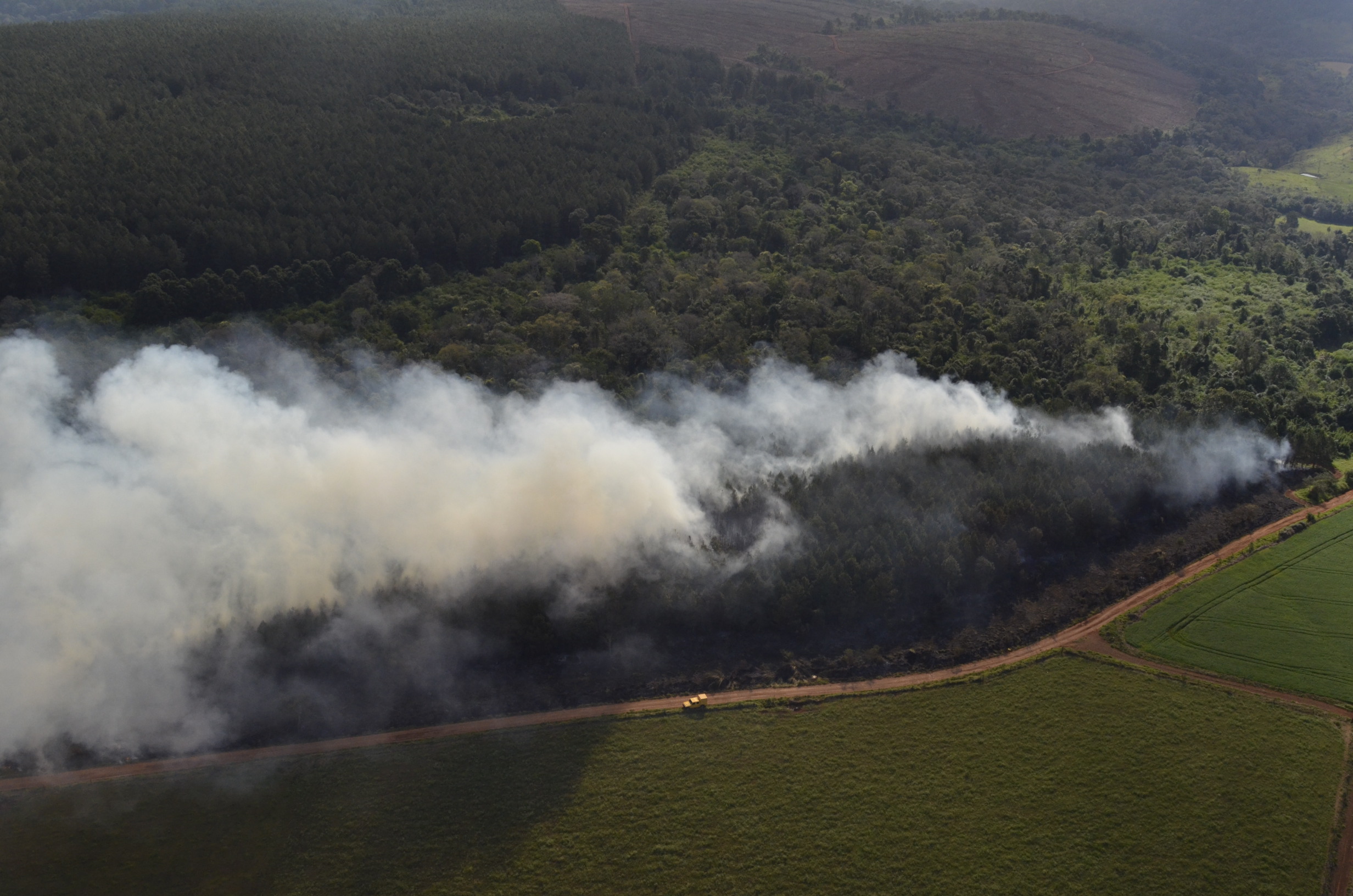 Incêndio que começou em área de reflorestamento se alastrou para um trecho de reserva legal | Araupel/Divulgação