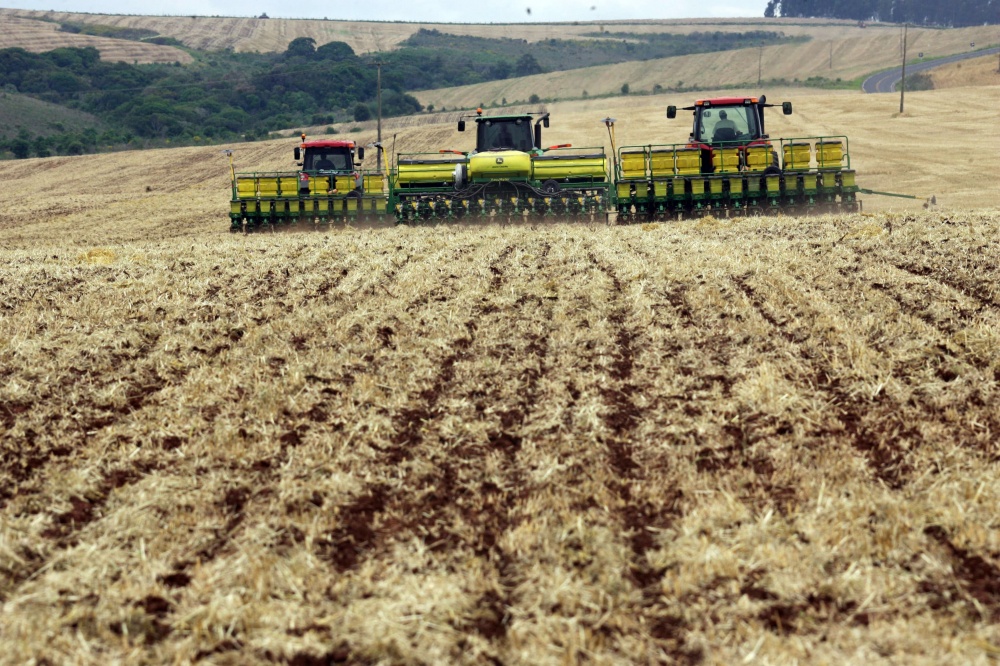 Somente plantadeiras cortam a terra em áreas que adotam o sistema plantio direto na palha. | Foto: Daniel Castelhano/gazeta Do Povo