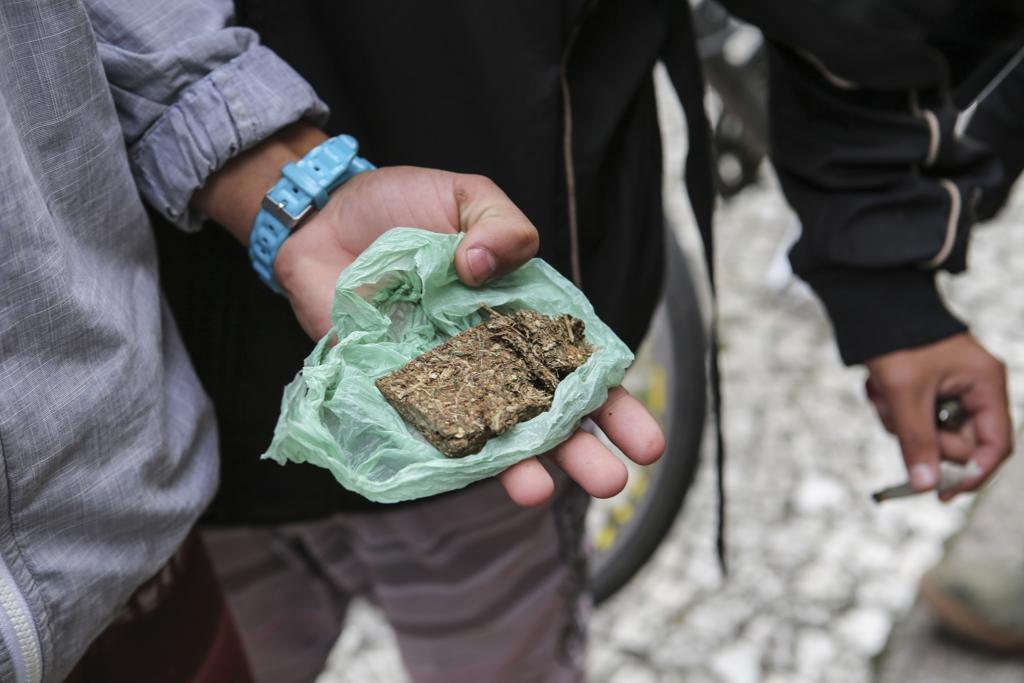 Maconha para consumo: porte de drogas será analisado pelo STF. | Daniel Castellano/Gazeta do Povo