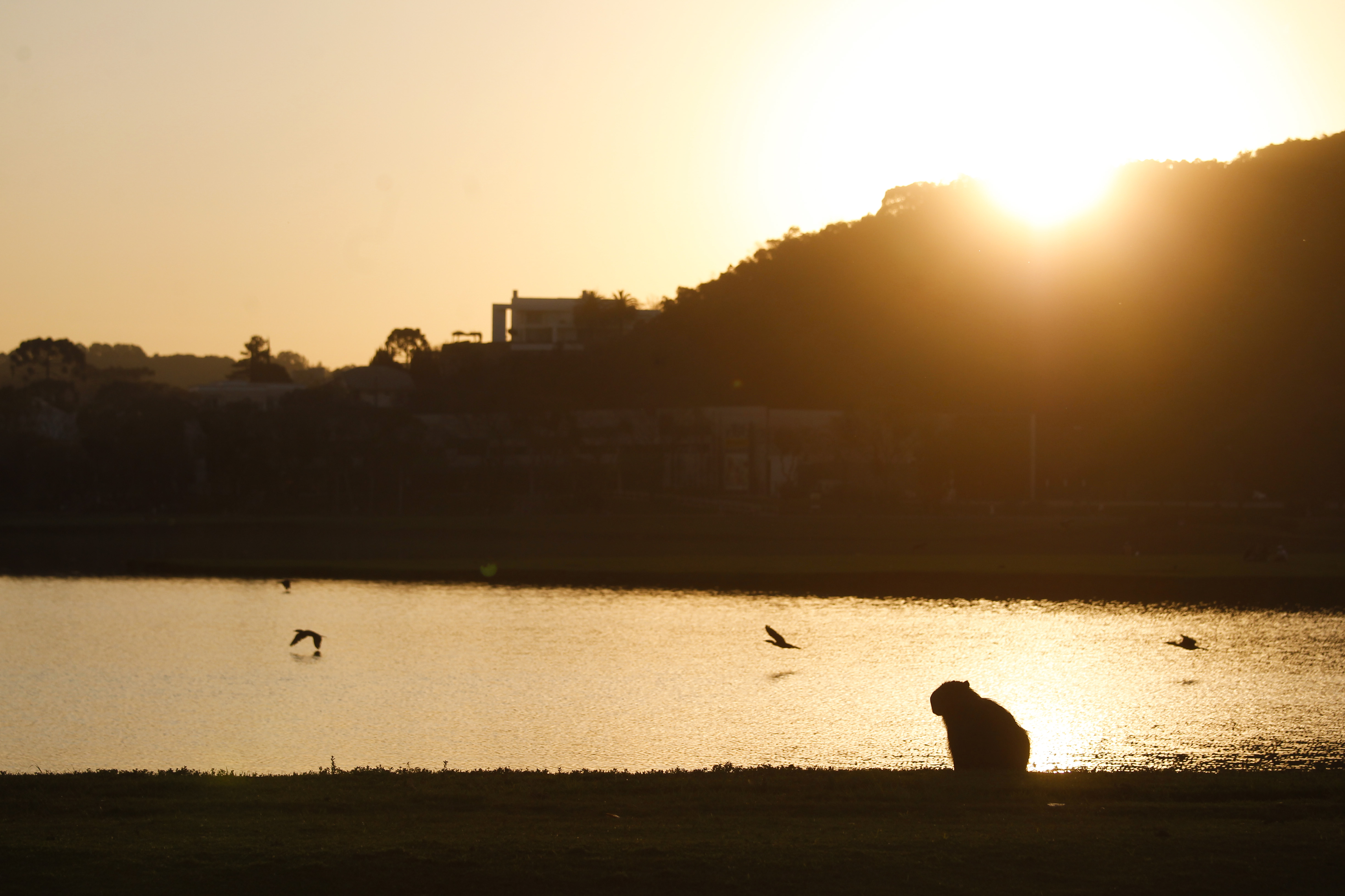 Com dias de veranico, Paraná registrou 34ºC no oeste e noroeste do estado no sábado (8); em Curitiba, temperatura ficou em torno dos 25ºC. | Daniel Castellano/Gazeta do Povo