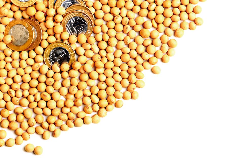 Recursos para viabilizar plantio da próxima safra estão mais difíceis de serem liberados. | Antonio More / Gazeta Do Povo