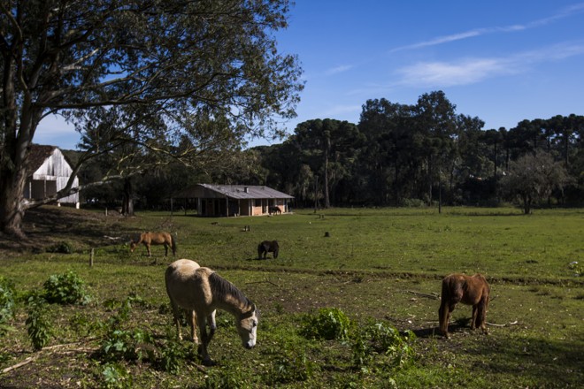 Cenário bucólico ao lado da avenida Fredolin Wolf. | Brunno Covello/Gazeta do Povo