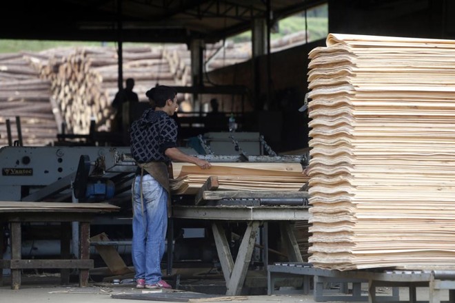 Grandes faixas de madeira são recortadas em tiras menores e acumuladas para processamento. | 