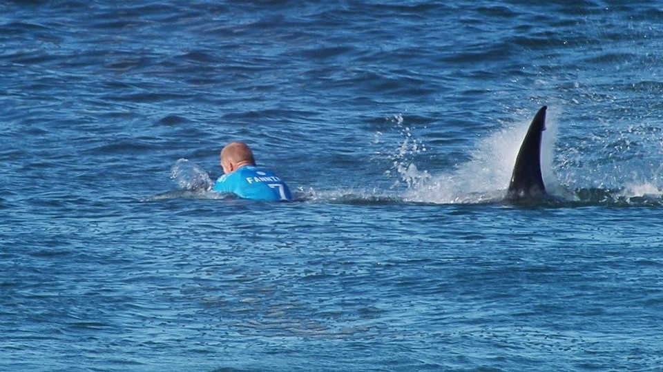 Há um mês, australiano Mick Fanning levou um susto ao esbarrar em um tubarão na etapa da África do Sul do Mundial. | Reuters/