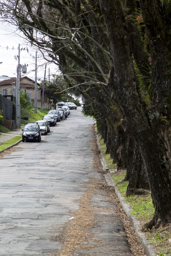 Trecho calmo e arborizado da rua. | Henry Milleo/Gazeta do Povo