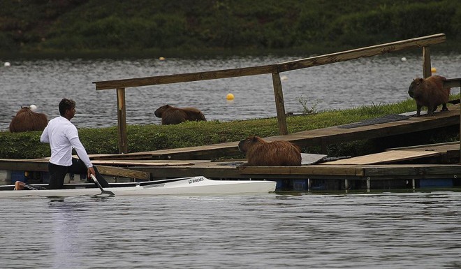 Isaquias Queiroz, esperança de medalha olímpica, é o destaque do Brasileiro de Canoagem de velocidade | Jonathan Campos/Gazeta do Povo