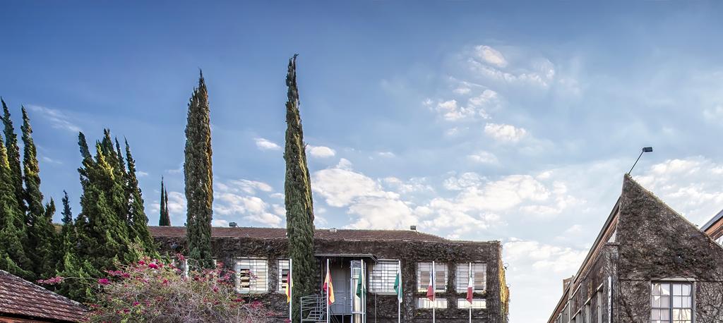 | Letícia Akemi/Gazeta do Povo