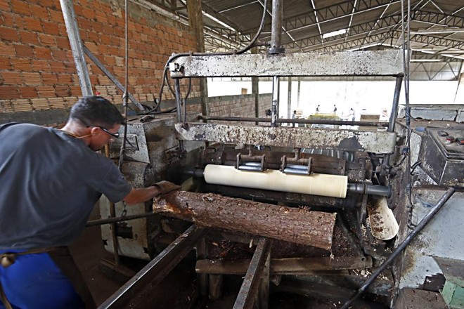 Neste exemplo a madeira será utilizada para a produção de laminados. Máquinas especiais tiram uma única lâmina das toras. | 