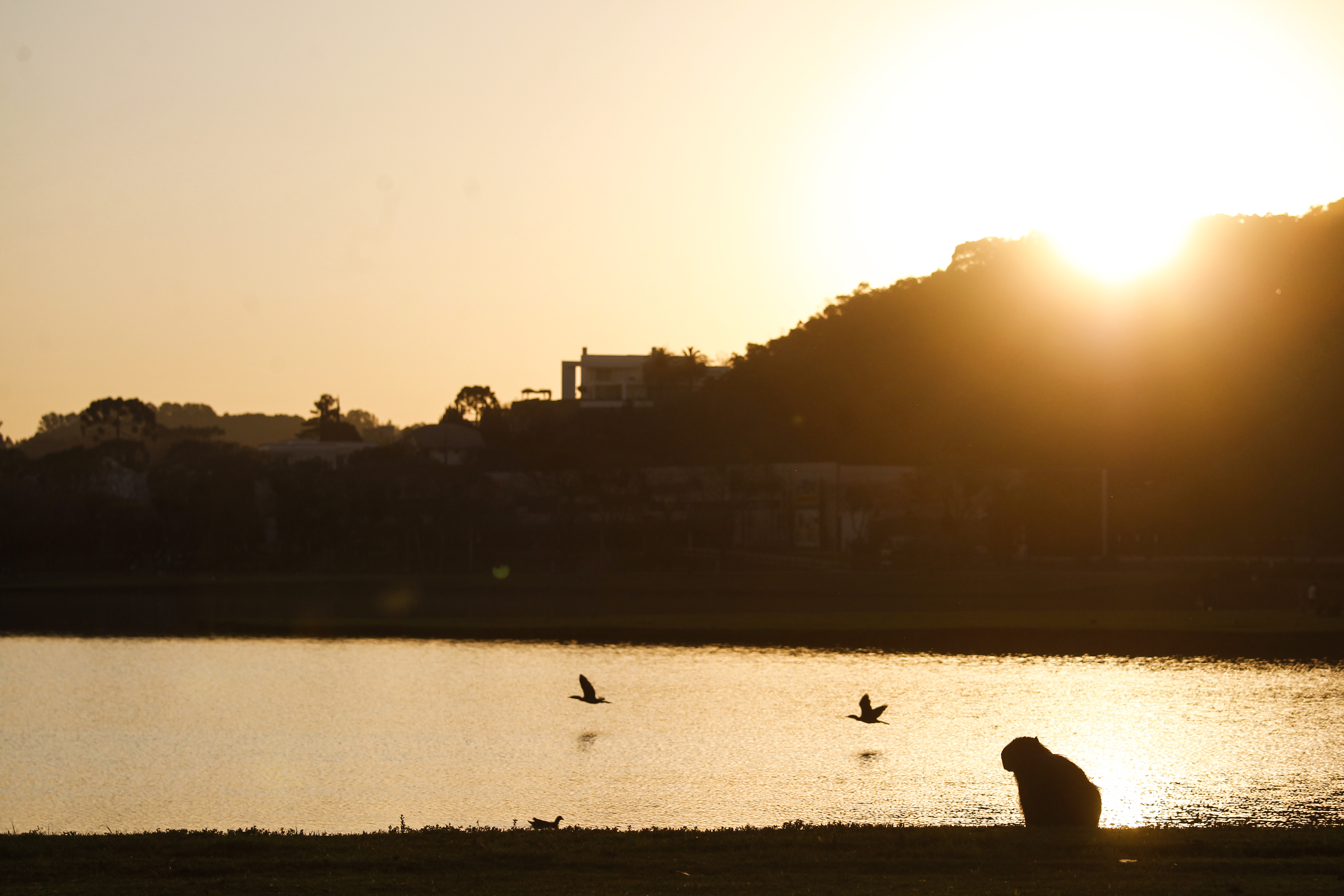 | Daniel Castellano/Gazeta do Povo