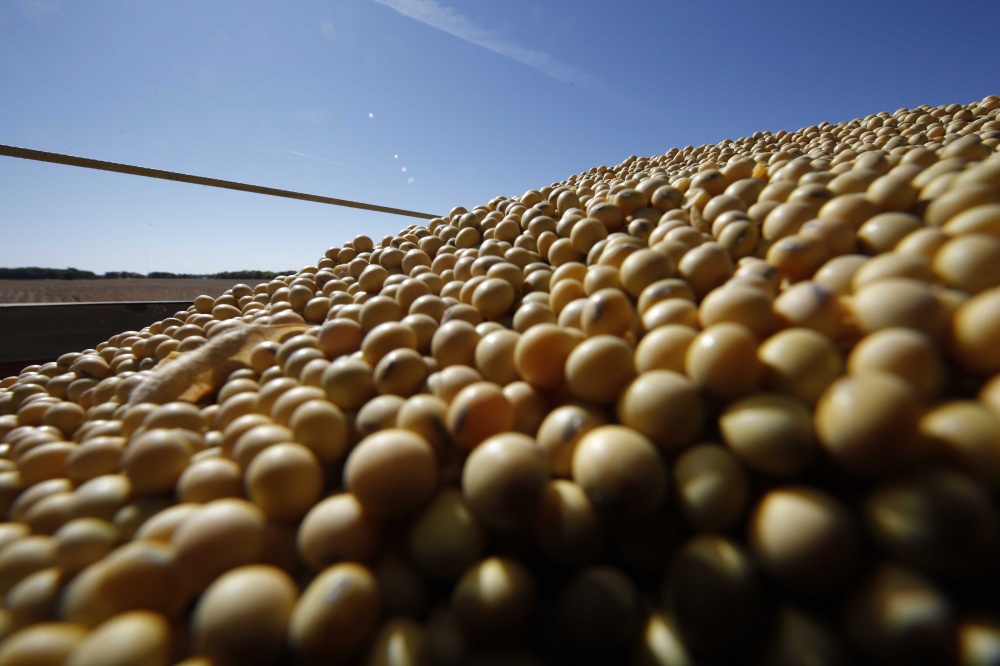 Embarque segue aquecido apesar de preços terem caído em dólar. | Foto: Jonathan Campos/gazeta Do Povo