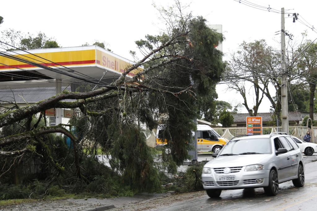 | Aniele Nascimento/Gazeta do Povo