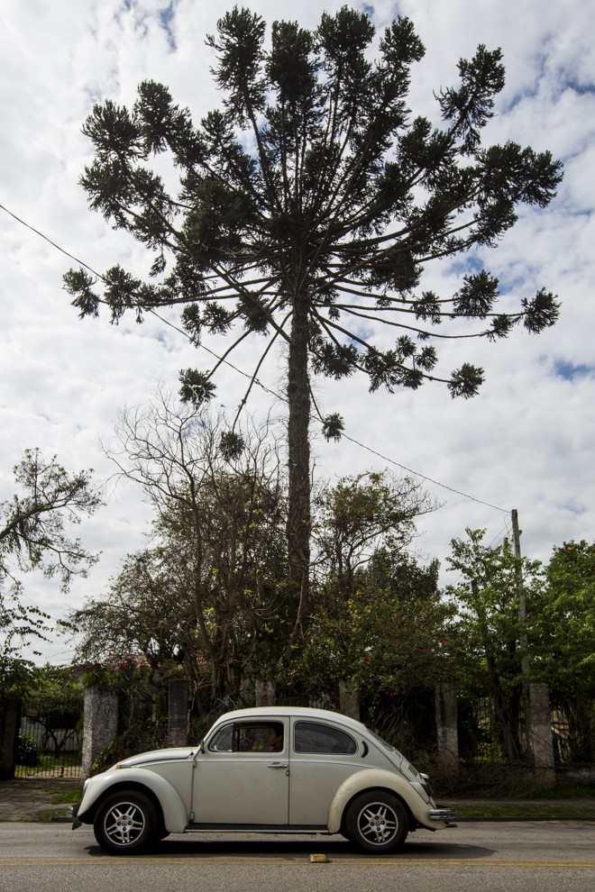 Com mais de 6,6 km, a Rua Francisco Derosso vai do bairro Xaxim ao bairro Alto Boqueirão. | Brunno Covello/Gazeta do Povo