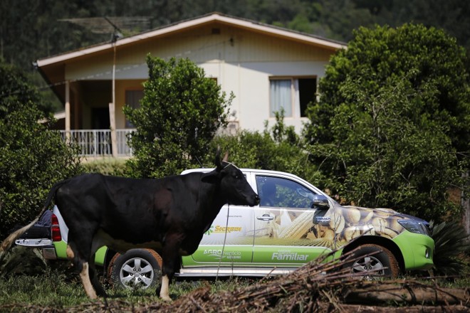 Expedição Agricultura Familiar começa pelo Sul roteiro de 15 mil quilômetros que vai chegar ao Norte da Bahia, em Juazeiro. Foto: Jonathan Campos/Gazeta do Povo | 