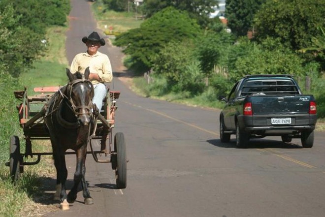 Estimativa é que 120 famílias dependam hoje dos animais para o transporte. | Dirceu Portugal/Arquivo/Gazeta do Povo