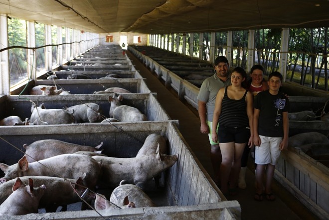 Os pais Evandro e Juceli e os filhos Eduarda e Alex trabalham juntos para dar conta da agropecuária diversificada. Foto: Jonathan Campos/Gazeta do Povo | 