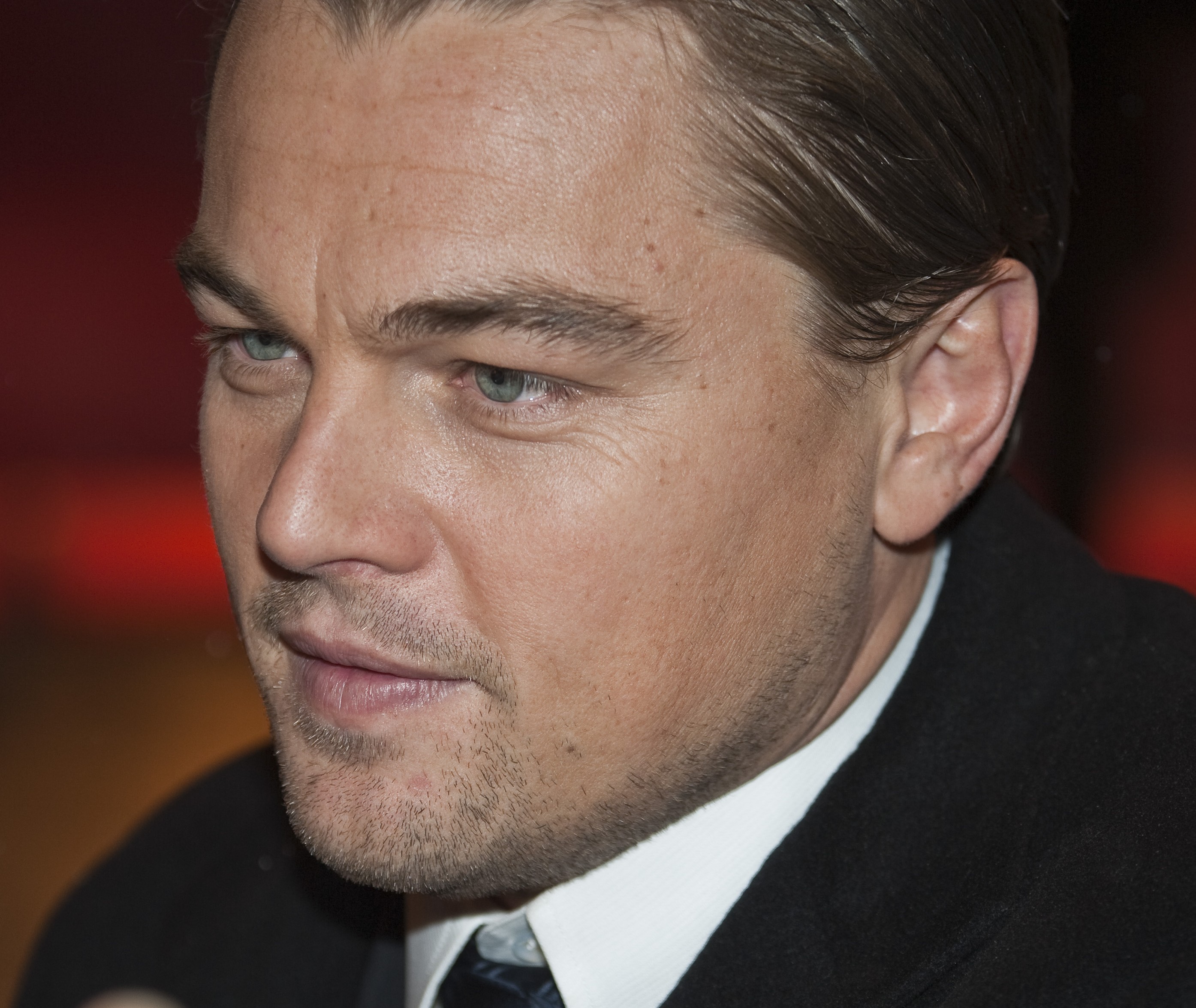 “A mudança climática está impactando severamente a saúde de nosso planeta e todos seus habitantes”, diz DiCaprio. | Thore Siebrands/Wikimedia Commons