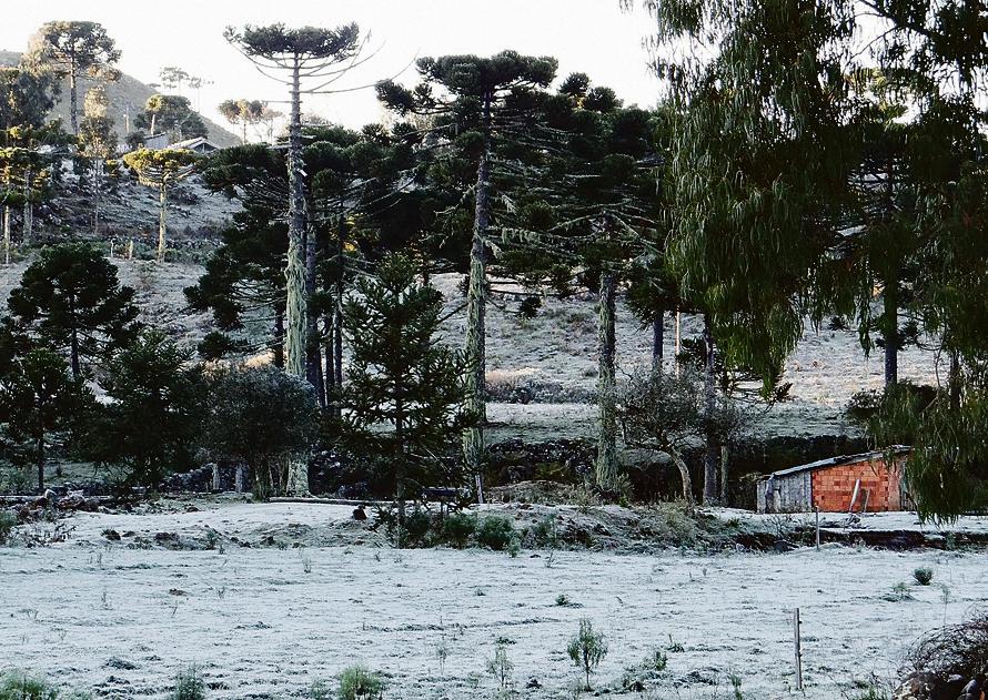 A cidade serrana catarinense de Urupema viu nesse fim de semana os termômetros chegarem a - 6,3.º C, a mais baixa do ano. | Marília Oliveira/ Prefeitura de Ururpema / Divulgação
