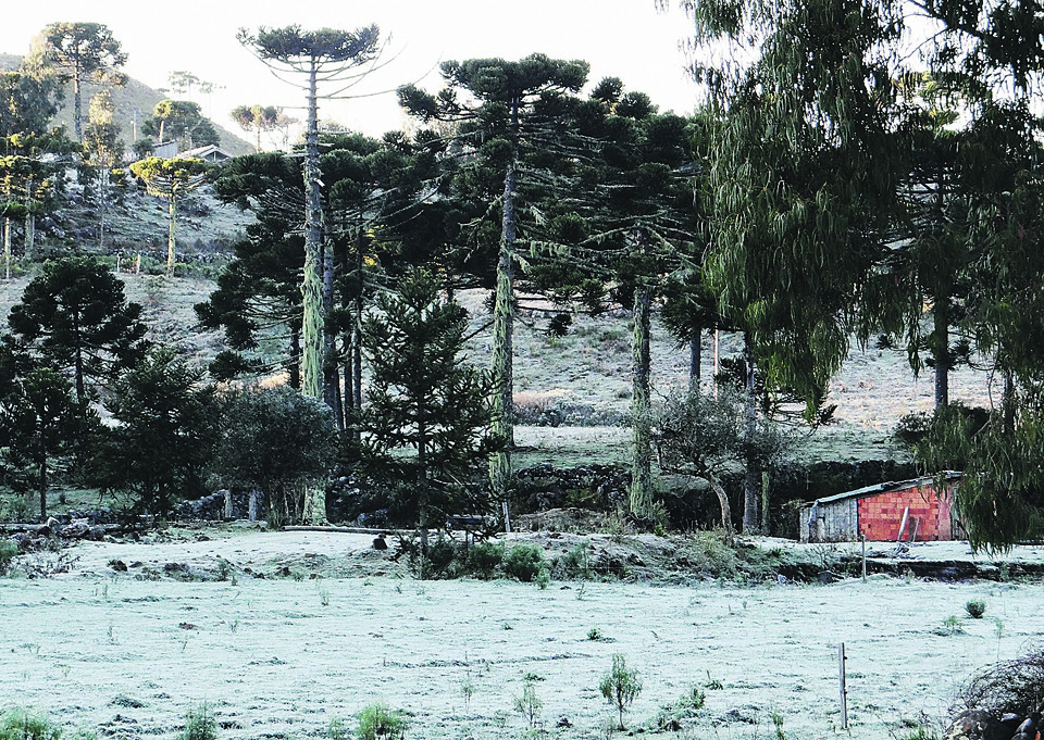 A cidade serrana catarinense de Urupema viu nesse fim de semana os termômetros chegarem a - 6,3.º C, a mais baixa do ano. | Marília Oliveira/ Prefeitura de Ururpema / Divulgação