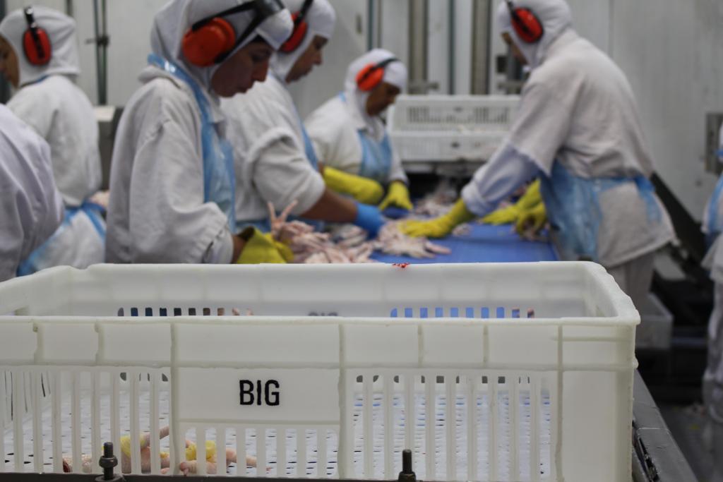 Entre as irregularidades estão o desrespeito aos limites de duração do trabalho e dos intervalos de descanso remunerado. | Divulgação/MPT