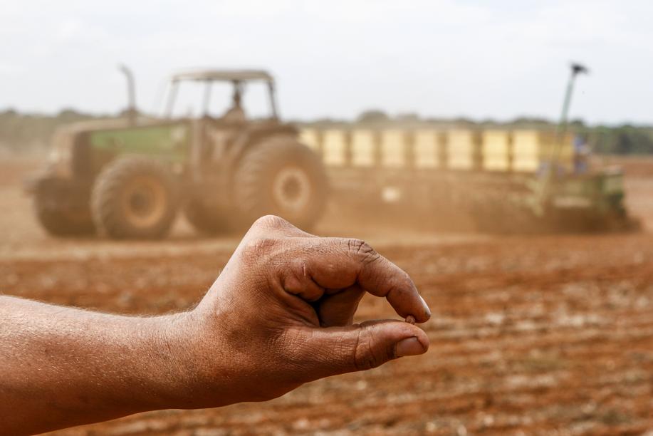 A produtividade é decisiva, em época de custo de produção inflacionado em função da valorização da moeda norte-americana e reajuste de vários serviços como luz elétrica, combustíveis e juros bancários. |
