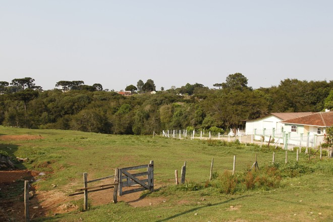 Vista da reserva natural Cascatinha, que foi a primeira criada em Curitiba. | Aniele Nascimento/Gazeta do Povo