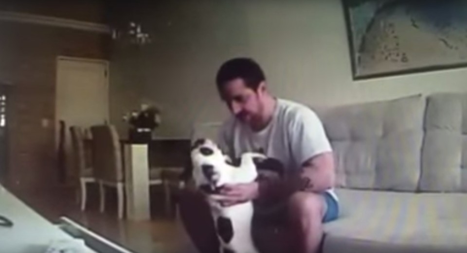 Empresário foi flagrado em vídeo agredindo os cães | Reprodução/Youtube