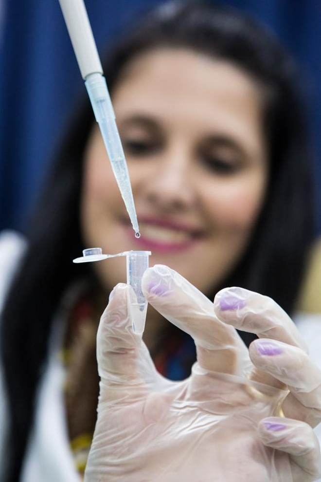 Pesquisas tentam trazer avanços no beneficiamento da produção de casulos. |