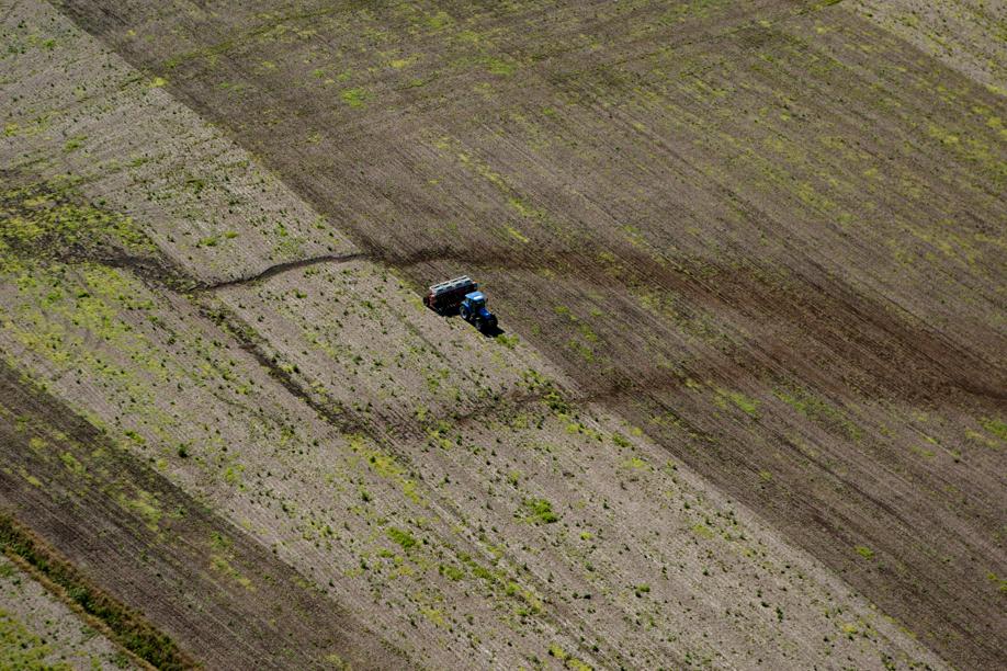 Marcas acreditam numa “sobrevida” do mercado no segundo semestre. | Foto: Henry Milla©o/gazeta Do Povo