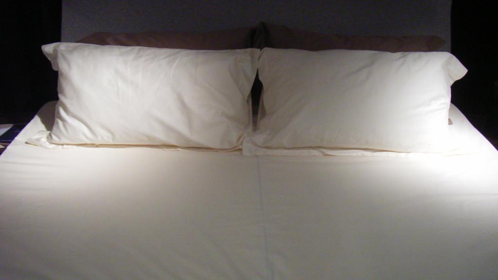  | Lpinaye/Wikimedia Commons