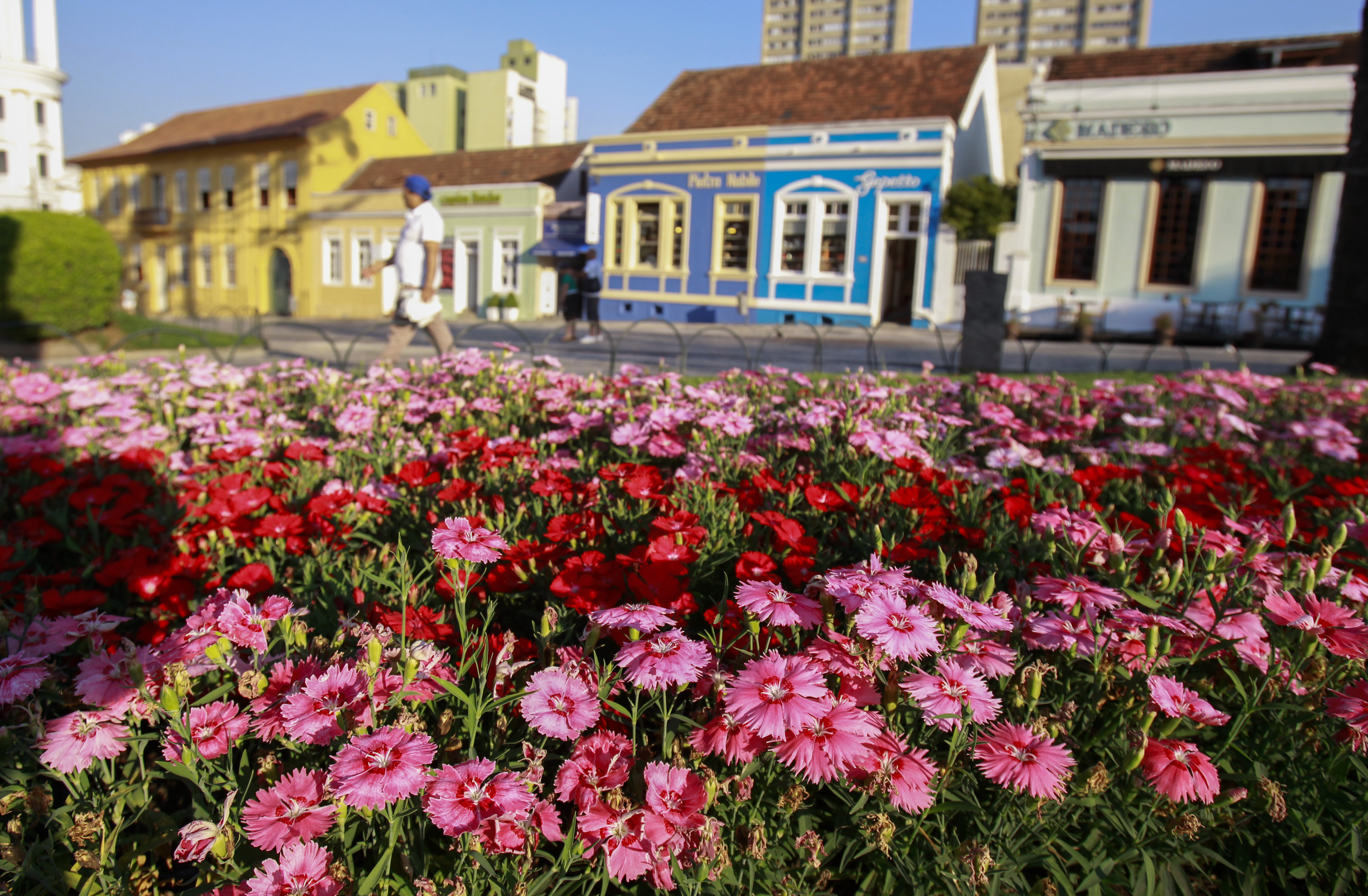 Em Curitiba, máxima de hoje foi de 33,7°C, cinco décimos a menos que ontem | Daniel Castellano/Gazeta do Povo