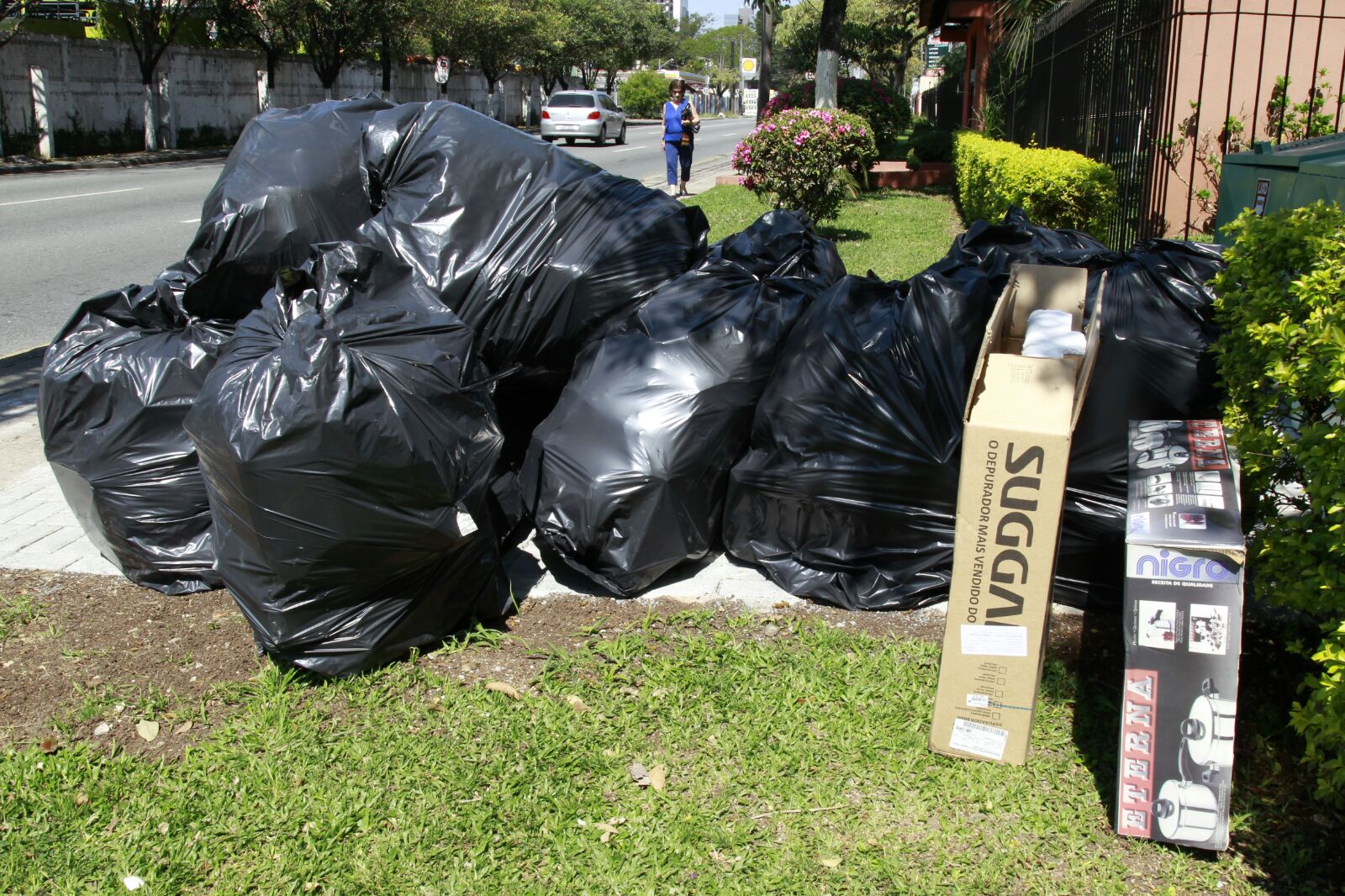  | Aniele Nascimento/Gazeta do Povo