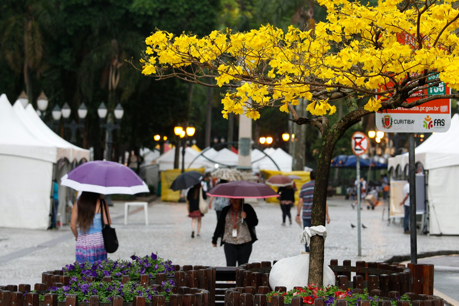 | Daniel Castellano/Gazeta do Povo