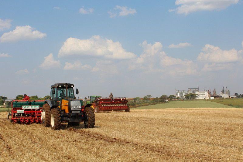 Trabalho de plantio no Oeste do estado começou a todo vapor. |