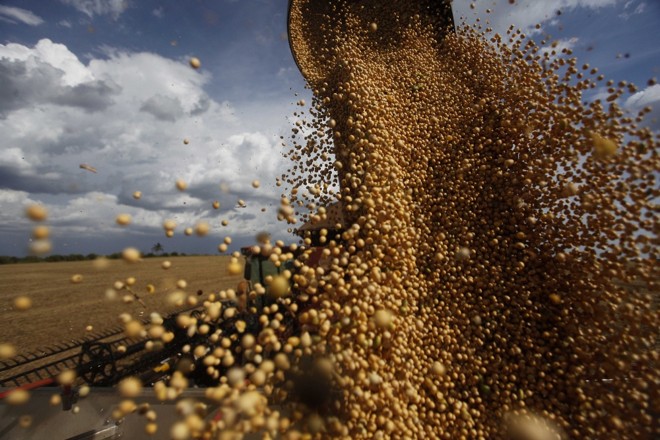 Motor da economia do estado, soja ‘rebatizou’ a Rodovia do Café. Hoje, é a principal carga que circula na BR-376. |