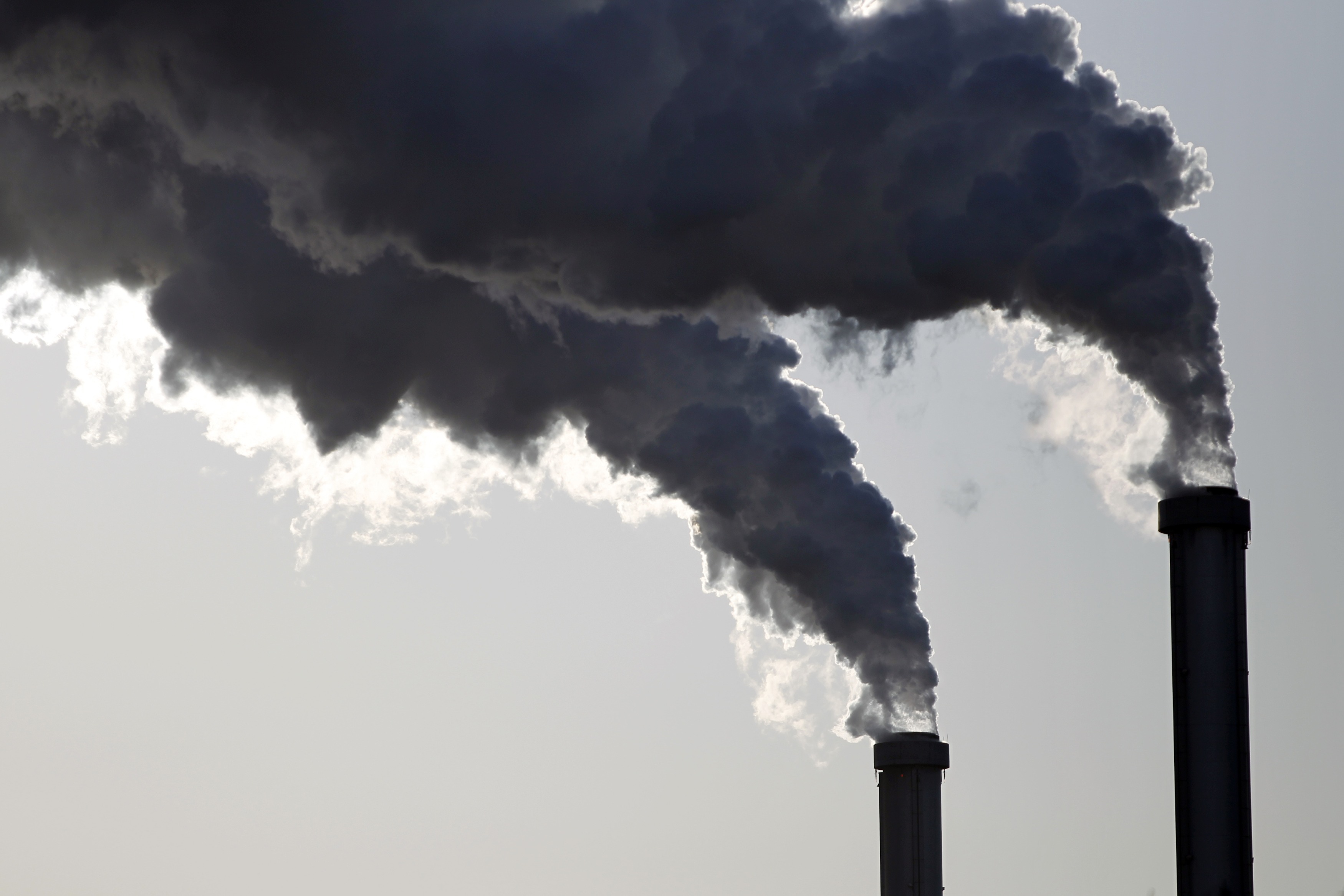 | GW/ROB/CHARLES PLATIAU