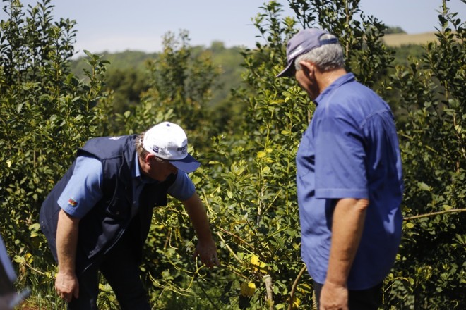 Chefe da Emater de Três Arroios, Jair Greiblel, orienta o produtor Lino Müller sobre controle de doenças de raiz na erva-mate. Foto: Jonathan Campos/Gazeta do Povo | 