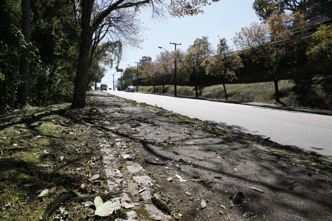 Árvores e muito verde são características do cenário da Nilo Peçanha. | Henry Milleo/Gazeta do Povo
