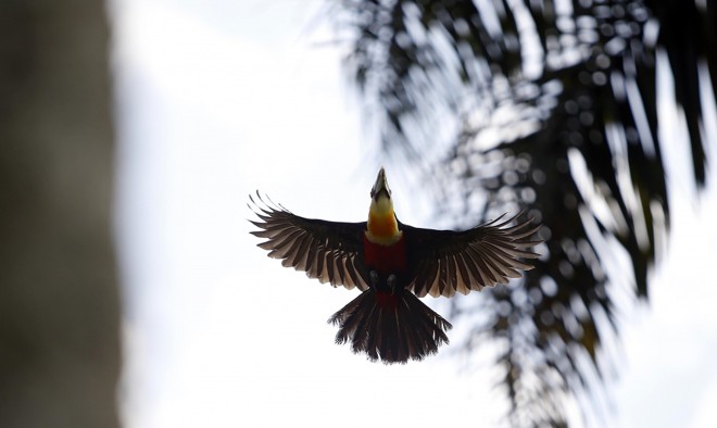 Flagrante do fotógrafo Jonathan Campos com a câmera apontada para o céu. | 