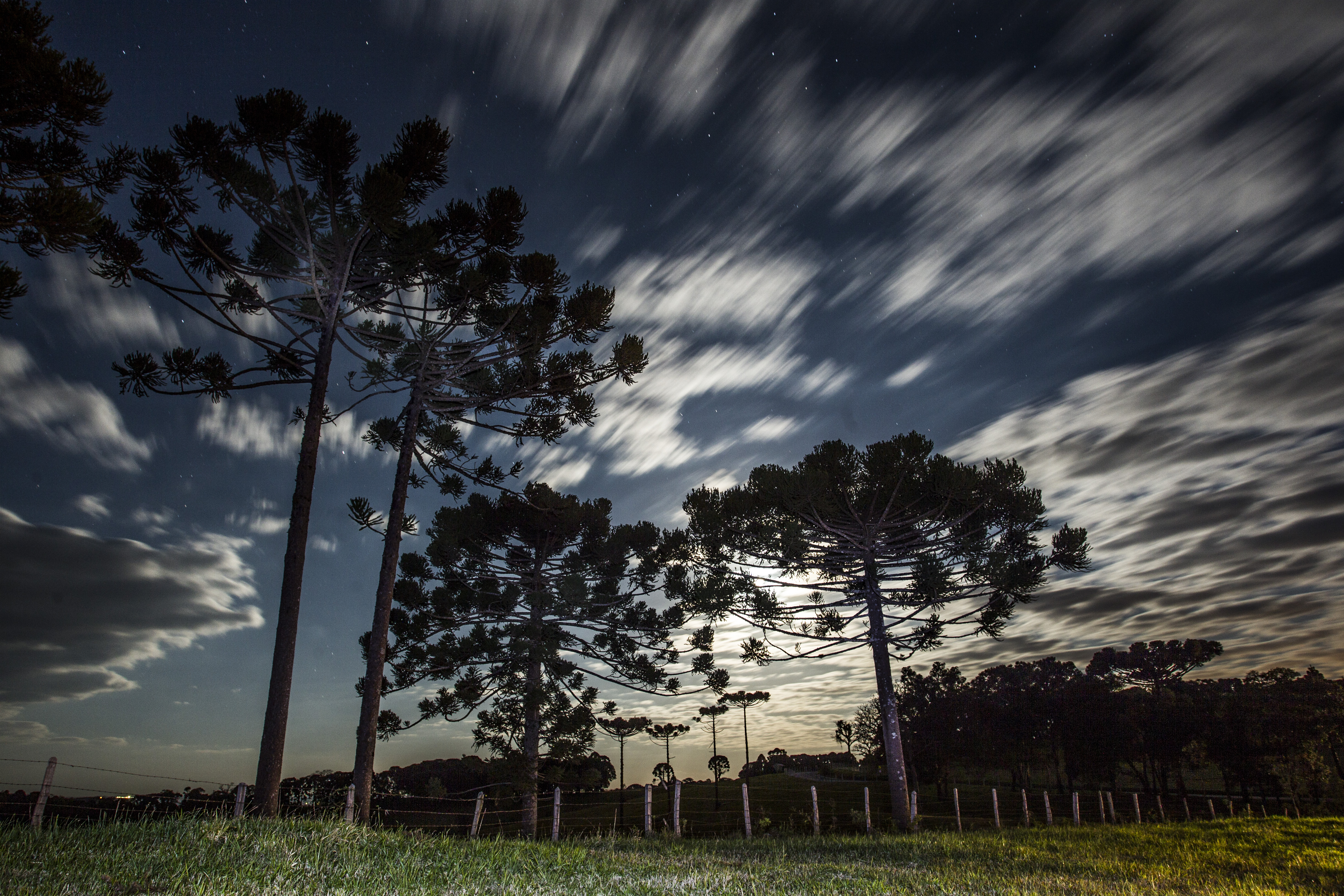 | Daniel Castellano/Gazeta do Povo