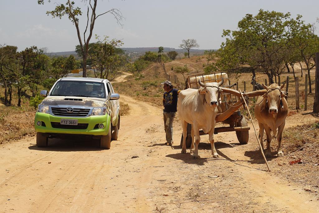 Equipe percorreu 3 mil quilômetros na última semana para chegar à região de clima semiárido em que o bioma predominante é a caatinga. | Jonathan Campos/Gazeta do Povo