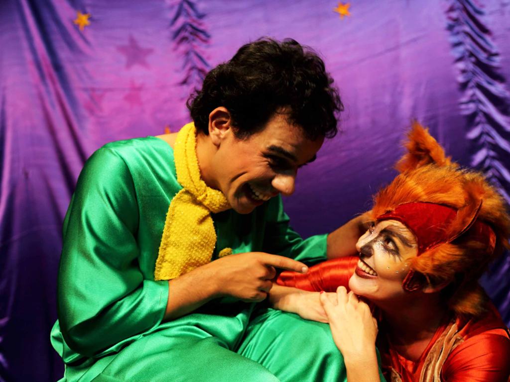 O pequeno príncipe. | Divulgação