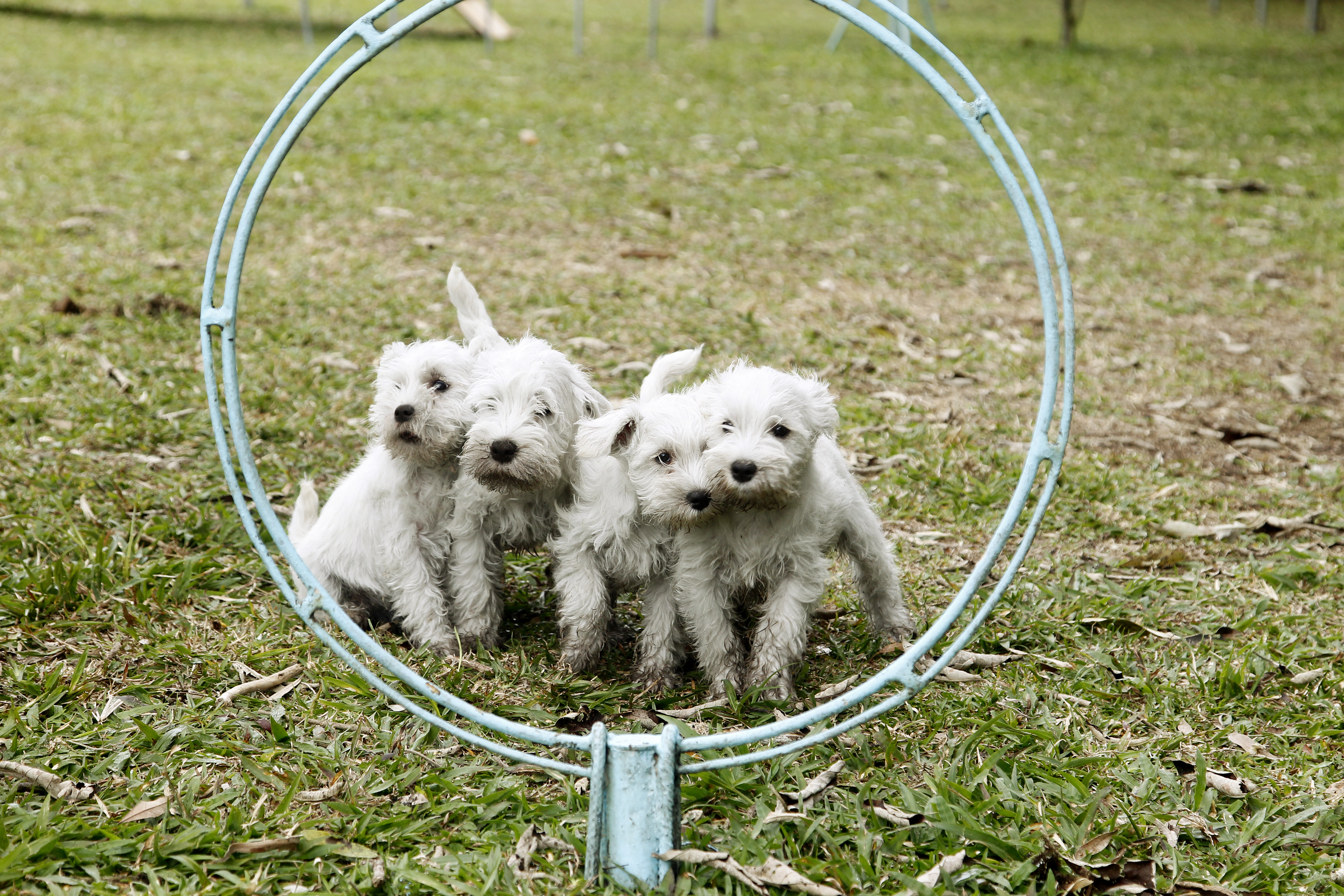  | Antônio More /
 Gazeta do Povo