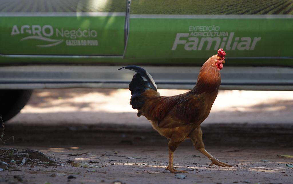 Expedição vivencia rotina do campo. | Jonathan Campos/Gazeta do Povo