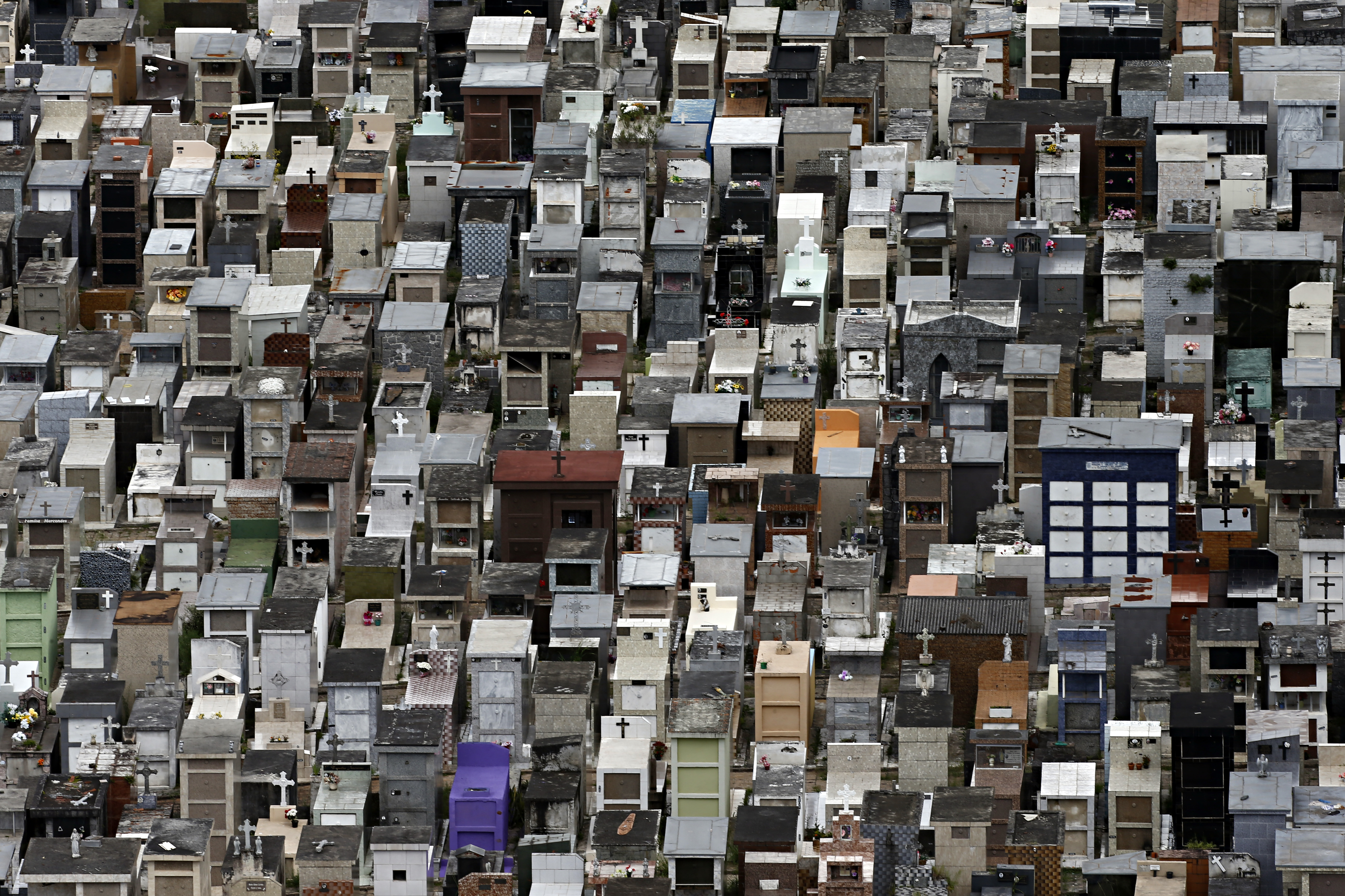 Cemitério do Água Verde: limpeza pode ser feita até sexta-feira | Albari Rosa/Gazeta do Povo