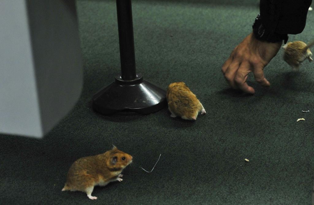  | Luis Macedo/Câmara dos deputados