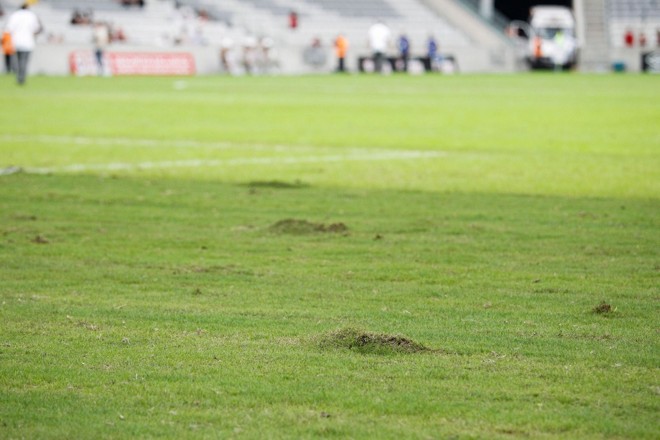 “Morrinhos” no gramado da Arena da Baixada. | Daniel Castellano / Gazeta do Povo